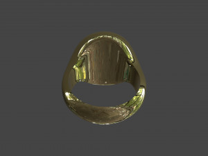RING-022 3Dモデル