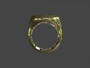 RING-022 3Dモデル