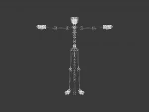 AVTR-002 Avatar Idle Animation 3D Model