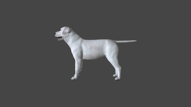 FLHB-001 Rigged Dog 3Dモデル .c4d .max .obj .3ds .fbx .stl .blend 