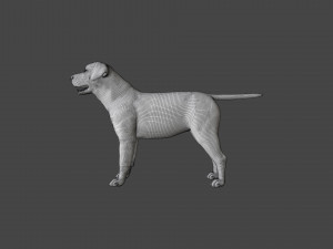 FLHB-001 Rigged Dog 3Dモデル