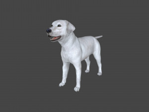 FLHB-001 Rigged Dog 3Dモデル