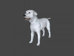 FLHB-001 Rigged Dog 3D Model