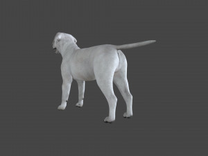 FLHB-001 Rigged Dog 3Dモデル