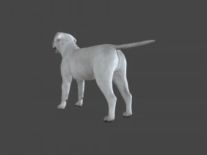 FLHB-001 Rigged Dog 3D Model