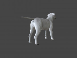 FLHB-001 Rigged Dog 3Dモデル