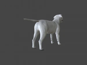 FLHB-001 Rigged Dog 3D Model