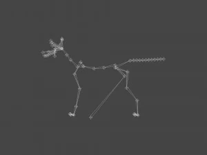 FLHB-001 Rigged Dog 3D Model