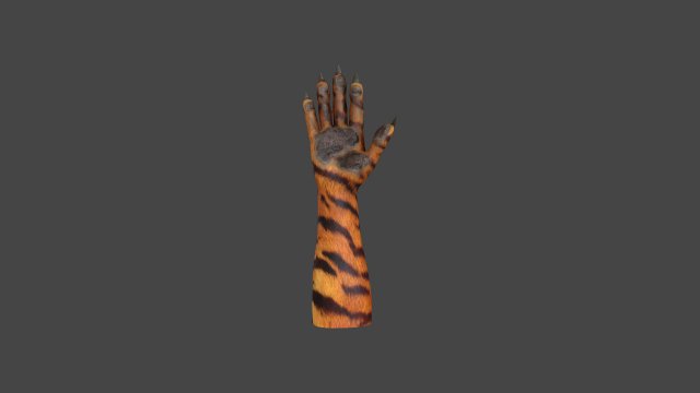 HAND-051 Rigged Right Hand 3D Model .c4d .max .obj .3ds .fbx .stl .blend 