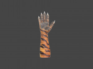 HAND-051 Rigged Right Hand 3D Model