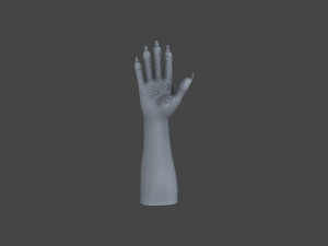 HAND-051 Rigged Right Hand 3D Model