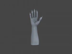HAND-051 Rigged Right Hand 3D Model