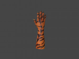 HAND-051 Rigged Right Hand 3D Model
