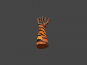 HAND-051 Rigged Right Hand 3D Model