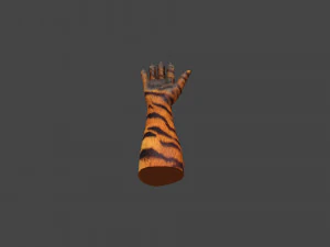 HAND-051 Rigged Right Hand 3D Model