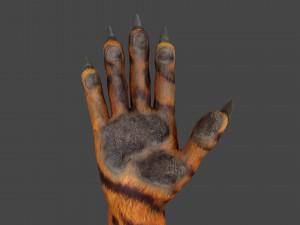 HAND-051 Rigged Right Hand 3D Model