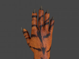 HAND-051 Rigged Right Hand 3D Model