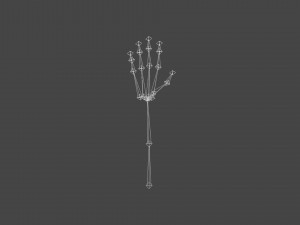HAND-051 Rigged Right Hand 3D Model