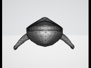 whale 3D 모델
