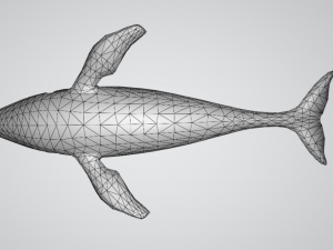 whale 3D 모델
