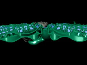 magerit eternal 3D Model