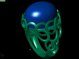 ring aj 3D Print Model