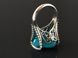 ring 50 3D Print Model