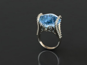 ring 50 3D Print Model