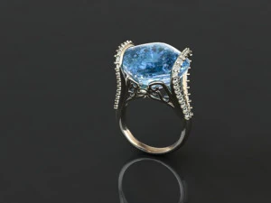 ring 50 3D Print Model