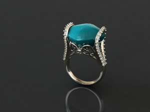ring 50 3D Print Model