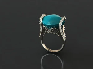 ring 50 3D Print Model