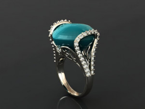 ring 50 3D Print Model
