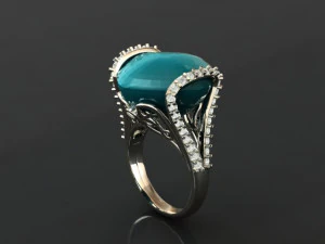 ring 50 3D Print Model