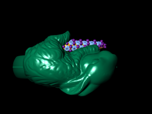rabbit ring 3D Print Model