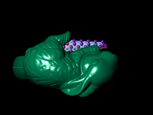 rabbit ring 3D Print Model