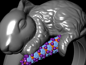 rabbit ring 3D Print Model
