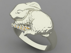 rabbit ring 3D Print Model