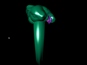 rabbit ring 3D Print Model