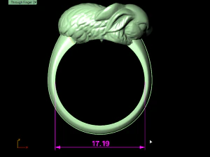 rabbit ring 3D Print Model