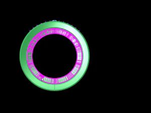 set ring 3D Print Model