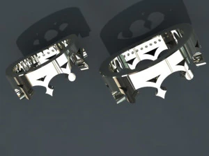 set ring 3D Print Model