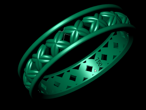 set ring02 3D प्रिंट मॉडल