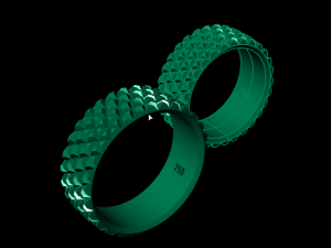 set ring04 3D Принт Модель