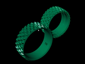 set ring04 3D Print Model