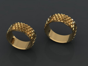 set ring04 3D Принт Модель