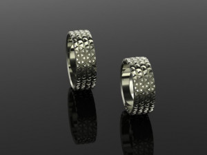 set ring04 3D Принт Модель