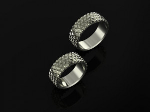 set ring04 3D Принт Модель