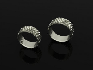 set ring04 3D Принт Модель