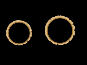 set ring08 3D-printmodel