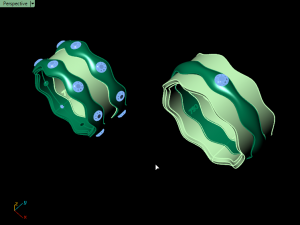 set ring11 3D-Druckmodell